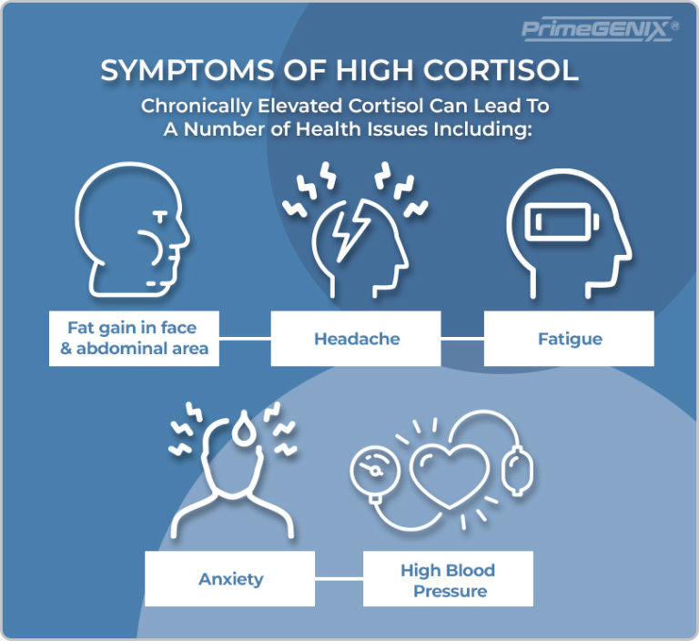 The Complete Guide On Cortisol